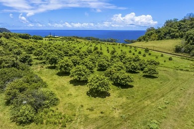 Hana Ranch is the largest offering on Maui and one of the few - photo 18