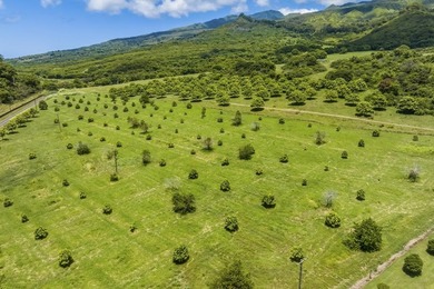 Hana Ranch is the largest offering on Maui and one of the few - photo 19