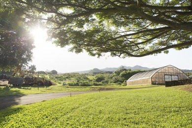Hana Ranch is the largest offering on Maui and one of the few - photo 20