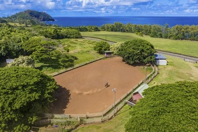 Hana Ranch is the largest offering on Maui and one of the few - photo 23