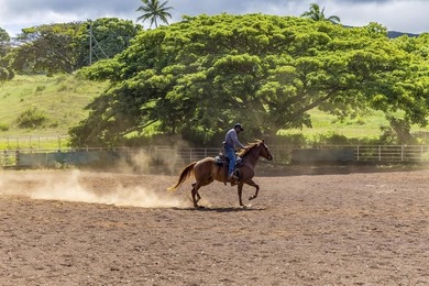 Hana Ranch is the largest offering on Maui and one of the few - photo 24