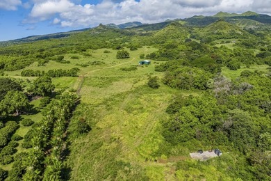 Hana Ranch is the largest offering on Maui and one of the few - photo 25