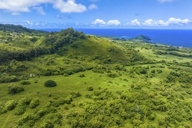 Hana Ranch is the largest offering on Maui and one of the few - photo 26