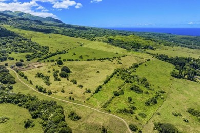 Hana Ranch is the largest offering on Maui and one of the few - photo 27