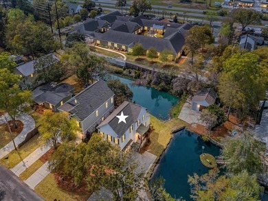 One-of-a-kind property! This stunning unique 3-bedroom, 2.5-bath - photo 38