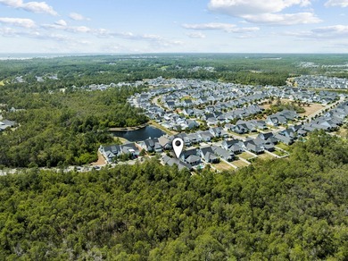 Located in WaterSound Origins, this Ficus plan built by Huff - photo 45