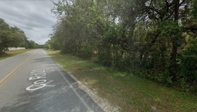 (private lake, pond, creek) Acreage For Sale in Hawthorne Florida