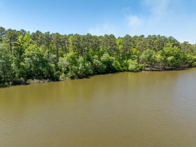 42 Private Wooded Waterfront Acres - photo 3