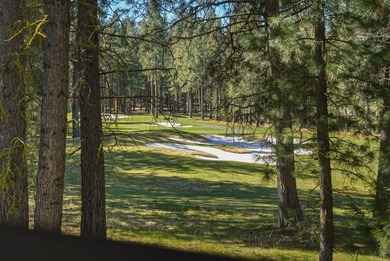 Perfectly positioned along the #3 Fairway of Big Meadow Golf - photo 45