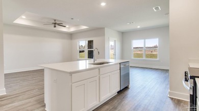 Welcome to Fallschase at Pathstone! Just over 1,600 square feet - photo 8