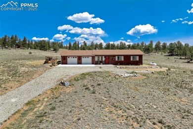 (private lake, pond, creek) Home For Sale in Hartsel Colorado
