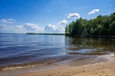 Petenwell Lake  Acreage For Sale in Nekoosa Wisconsin