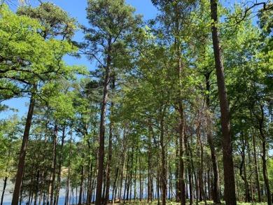 42 Private Wooded Waterfront Acres - photo 8