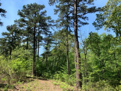 42 Private Wooded Waterfront Acres - photo 4