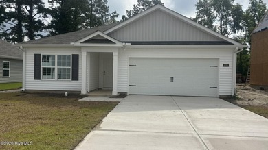 Come tour 4006 Topsail Trail! One of our new homes at Madeline - photo 1