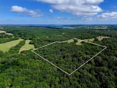 Lake Acreage For Sale in Honey Grove, Texas