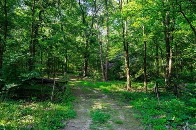 Come slow down here. Welcome to 1688 GA Hwy 136 in Trenton - photo 44