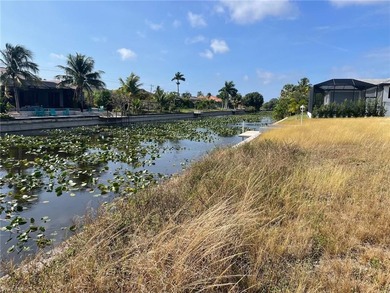 Cape Coral Lakes Area Lot For Sale in Cape Coral Florida