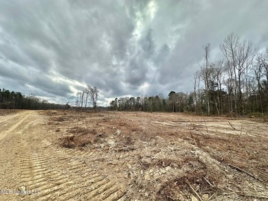+/- 79.6 acres just south of the Rankin/Simpson line in Simpson - photo 11