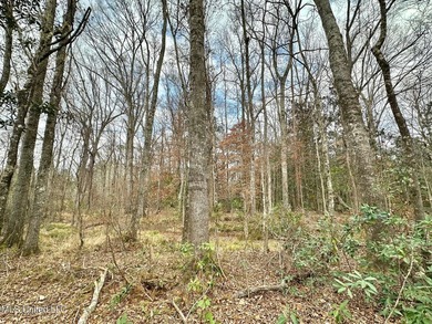 +/- 79.6 acres just south of the Rankin/Simpson line in Simpson - photo 13