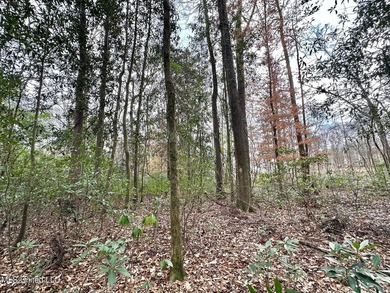 +/- 79.6 acres just south of the Rankin/Simpson line in Simpson - photo 16