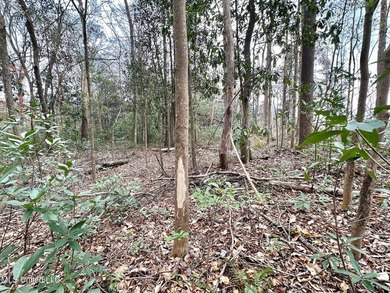 +/- 79.6 acres just south of the Rankin/Simpson line in Simpson - photo 18