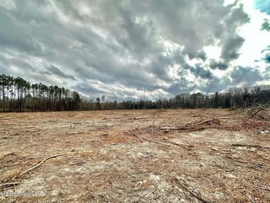 +/- 79.6 acres just south of the Rankin/Simpson line in Simpson - photo 20