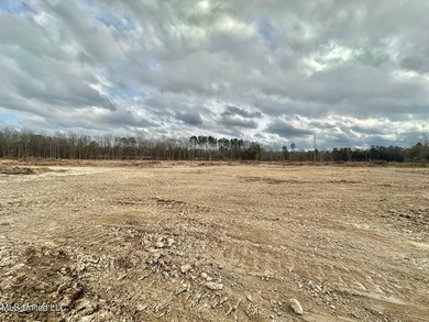 +/- 79.6 acres just south of the Rankin/Simpson line in Simpson - photo 21