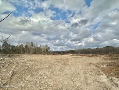 +/- 79.6 acres just south of the Rankin/Simpson line in Simpson - photo 22