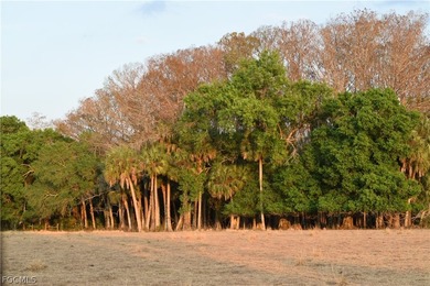 Rare opportunity to own 27.41 acres of prime land offering - photo 24
