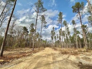 +/- 79.6 acres just south of the Rankin/Simpson line in Simpson - photo 24