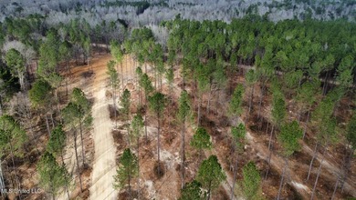 +/- 79.6 acres just south of the Rankin/Simpson line in Simpson - photo 25