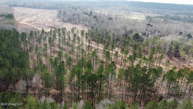+/- 79.6 acres just south of the Rankin/Simpson line in Simpson - photo 26
