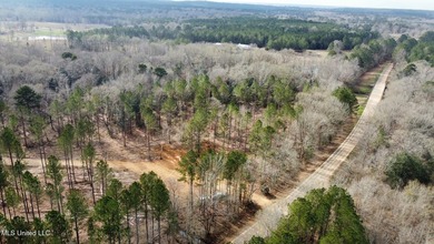 +/- 79.6 acres just south of the Rankin/Simpson line in Simpson - photo 27