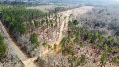 +/- 79.6 acres just south of the Rankin/Simpson line in Simpson - photo 28
