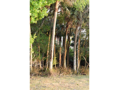 Rare opportunity to own 27.41 acres of prime land offering - photo 29