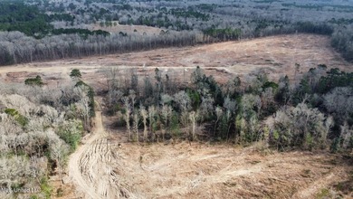+/- 79.6 acres just south of the Rankin/Simpson line in Simpson - photo 30