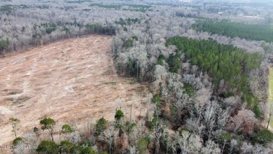 +/- 79.6 acres just south of the Rankin/Simpson line in Simpson - photo 31
