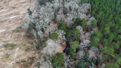 +/- 79.6 acres just south of the Rankin/Simpson line in Simpson - photo 32