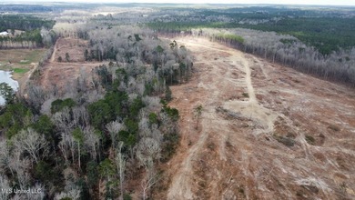 +/- 79.6 acres just south of the Rankin/Simpson line in Simpson - photo 33