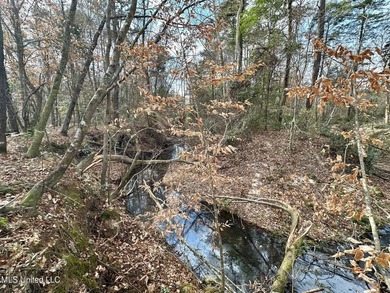 +/- 79.6 acres just south of the Rankin/Simpson line in Simpson - photo 37
