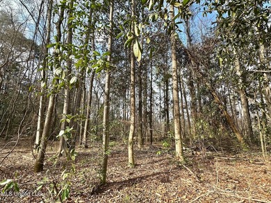 +/- 79.6 acres just south of the Rankin/Simpson line in Simpson - photo 38