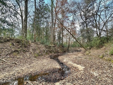 +/- 79.6 acres just south of the Rankin/Simpson line in Simpson - photo 39