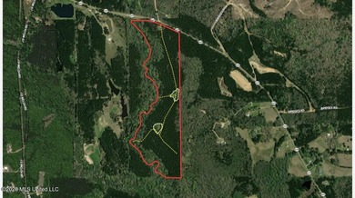 +/- 79.6 acres just south of the Rankin/Simpson line in Simpson - photo 40