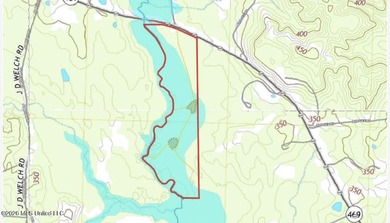 +/- 79.6 acres just south of the Rankin/Simpson line in Simpson - photo 41