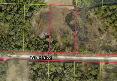 Withlacoochee River Lot For Sale in Webster Florida
