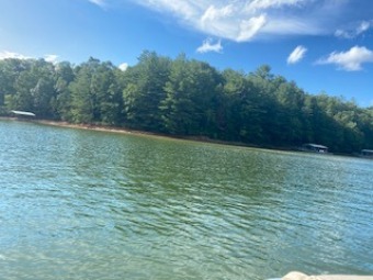 Year round water! - Lake Acreage For Sale in Blairsville, Georgia