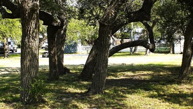 These 2 Waterview lots are just yards away from the unique Kayak - photo 13