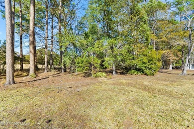 Wow, golf course home on two lots with 367.4 feet on the Pine - photo 22