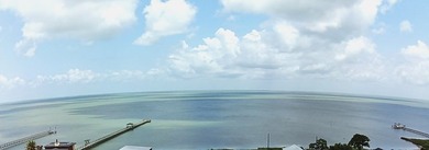 These 2 Waterview lots are just yards away from the unique Kayak - photo 26